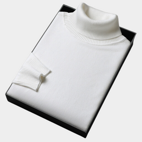 Blaine | Heren Winter Turtleneck Trui in Gedurfde Kleuren